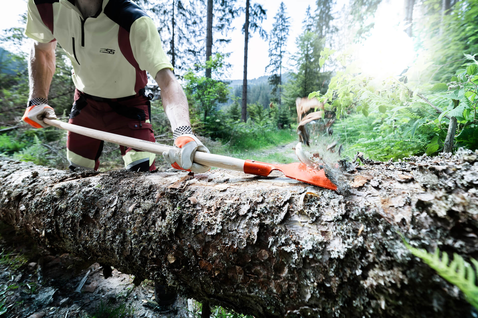 SHW Forst Rindenschäler im Einsatz bei einem Baum im Nordschwarzwald