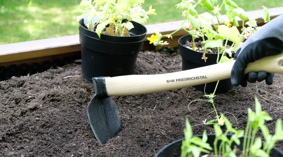 Kompakte SHW Herzhacke mit 45 cm Eschen-Kuhfuß-Stiel für feine Gartenarbeiten